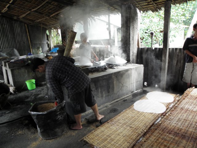 vietnam2010mekongdelta102.jpg