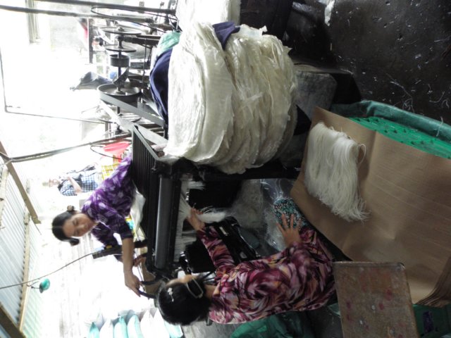vietnam2010mekongdelta111.jpg