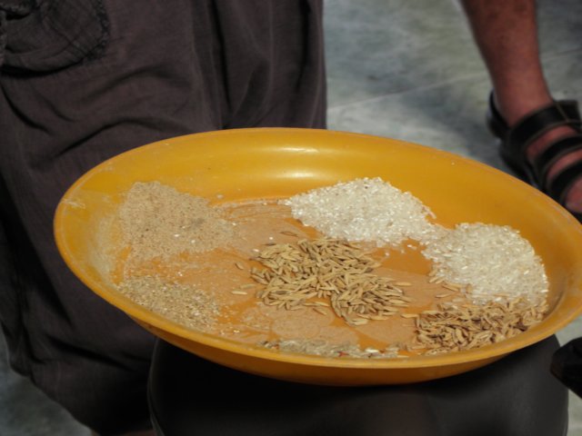 vietnam2010mekongdelta119.jpg