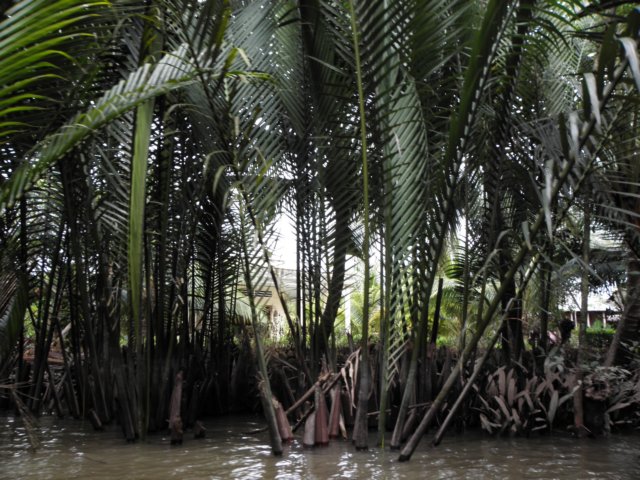 vietnam2010mekongdelta32.jpg