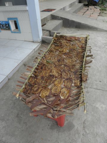 vietnam2010mekongdelta46.jpg