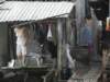 vietnam2010mekongdelta63_small.jpg