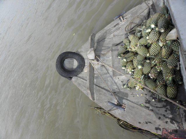 vietnam2010mekongdelta76.jpg