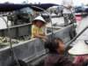 vietnam2010mekongdelta81_small.jpg