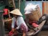 vietnam2010mekongdelta86_small.jpg