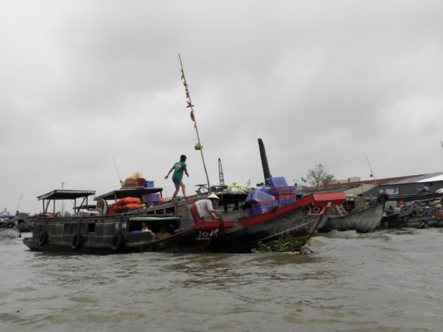 vietnam2010mekongdelta90.jpg