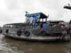 vietnam2010mekongdelta98_small.jpg