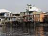 vietnam2010mekongdelta9_small.jpg