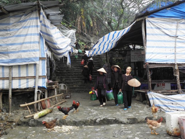 vietnam2010perfumepagoda42.jpg