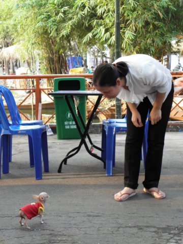 vietnam2010saigon108.jpg