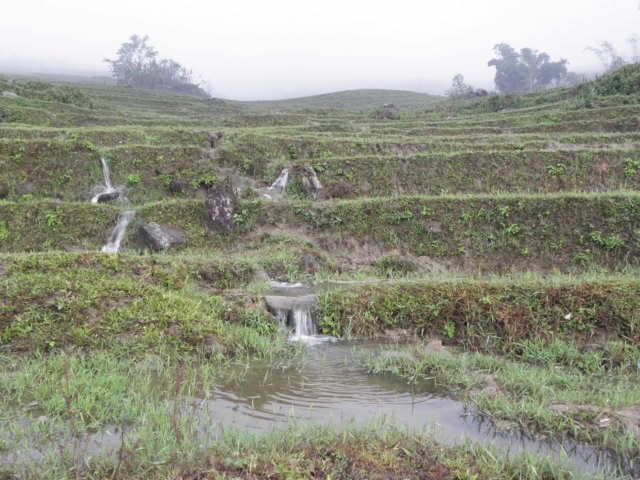 vietnam2010sapa104.jpg