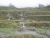 vietnam2010sapa104_small.jpg