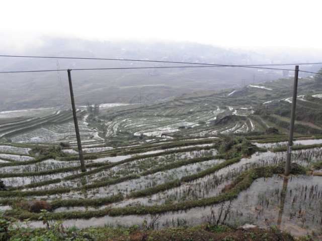 vietnam2010sapa105.jpg