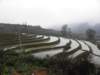 vietnam2010sapa107_small.jpg