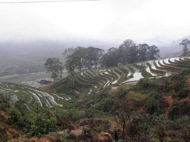 vietnam2010sapa108.jpg