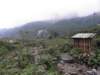 vietnam2010sapa111_small.jpg