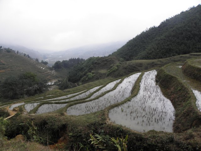 vietnam2010sapa33.jpg