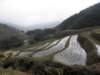 vietnam2010sapa33_small.jpg