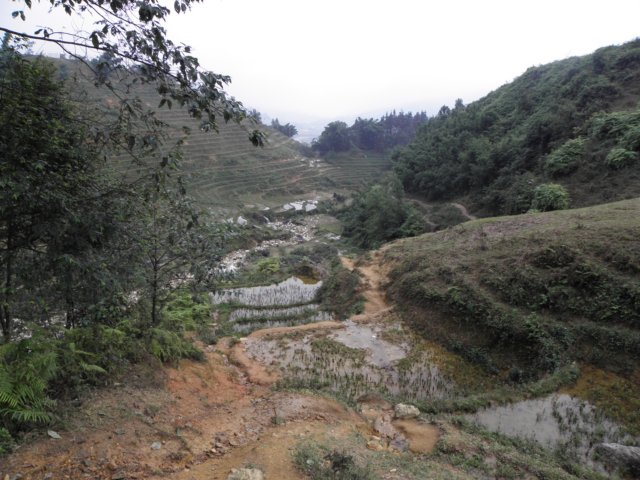 vietnam2010sapa34.jpg