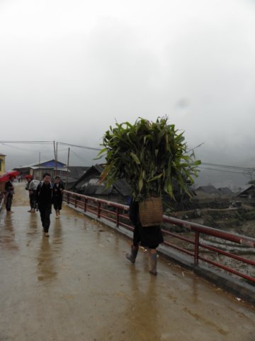 vietnam2010sapa61.jpg
