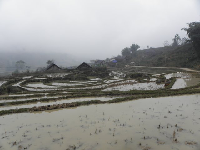 vietnam2010sapa64.jpg