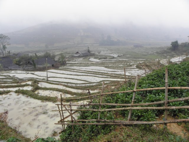 vietnam2010sapa65.jpg