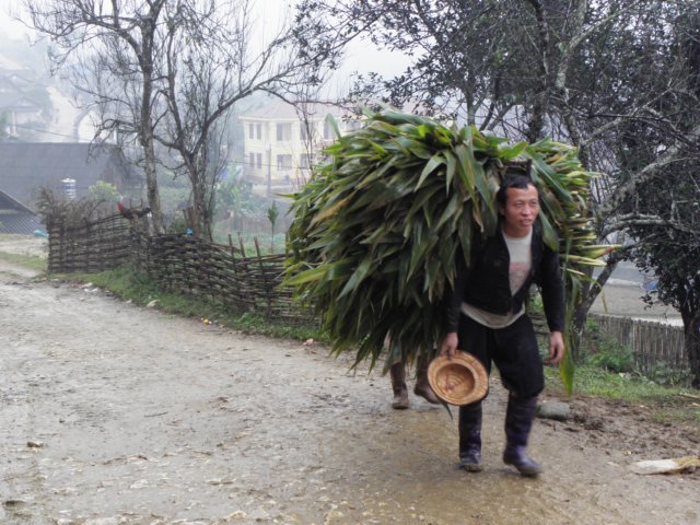 vietnam2010sapa75.jpg
