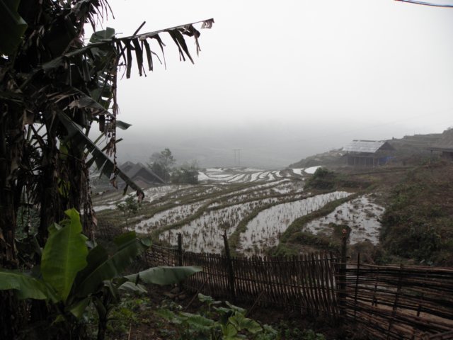 vietnam2010sapa91.jpg
