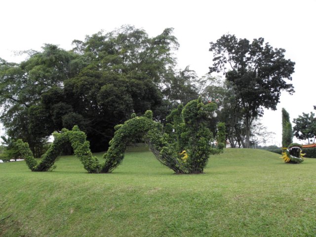 vietnam2010singapore115.jpg
