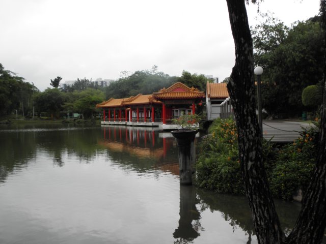 vietnam2010singapore120.jpg