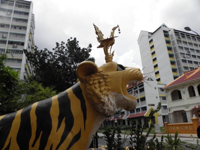 vietnam2010singapore24.jpg