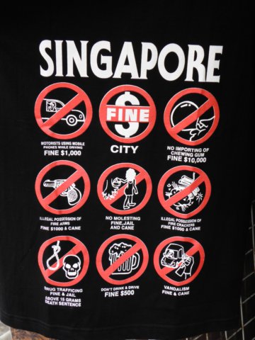 vietnam2010singapore37.jpg