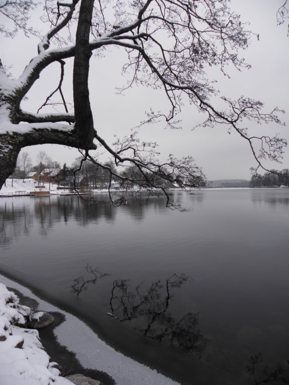 vilnius2012125.jpg
