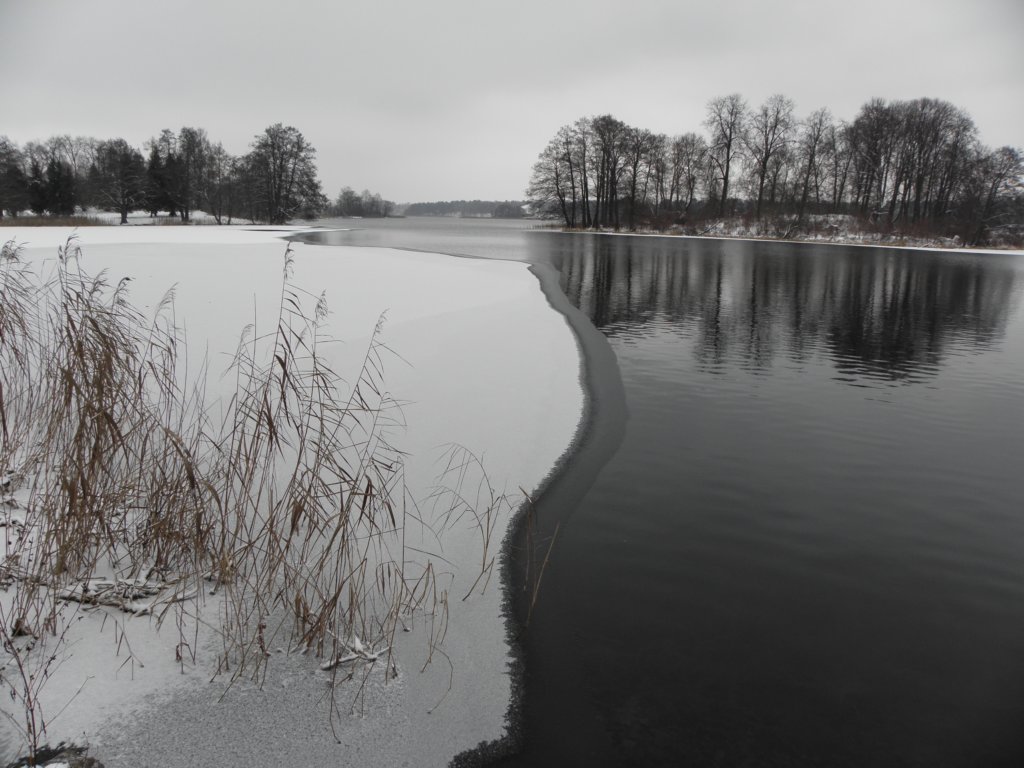 vilnius2012127.jpg