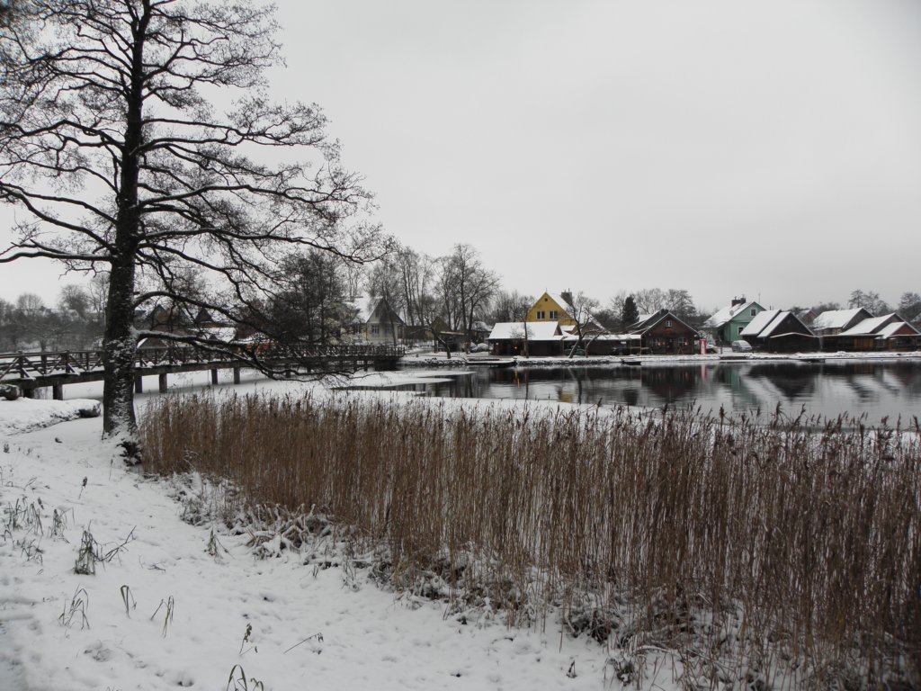 vilnius2012133.jpg