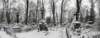 vilnius2012166_small.jpg