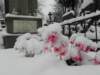 vilnius2012167_small.jpg