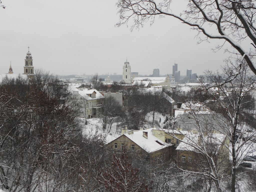 vilnius2012177.jpg
