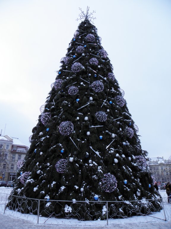 vilnius201235.jpg