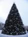 vilnius201235_small.jpg
