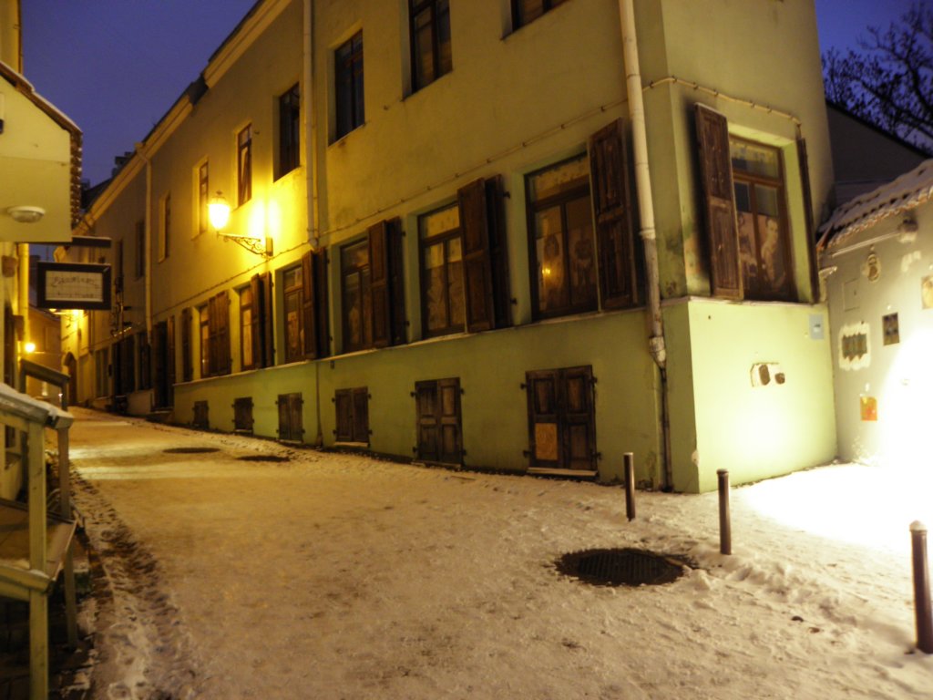 vilnius201245.jpg