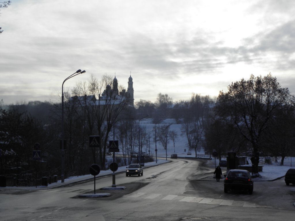 vilnius201260.jpg