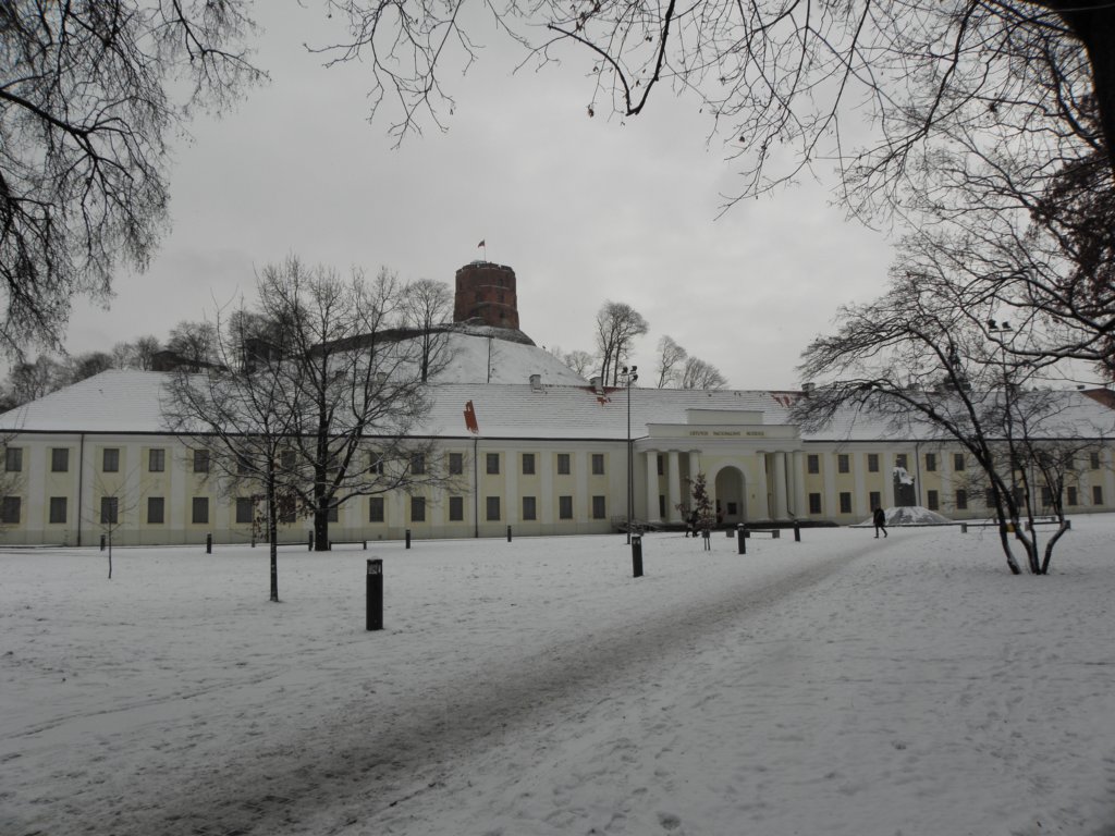 vilnius201278.jpg