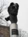 vilnius201281_small.jpg